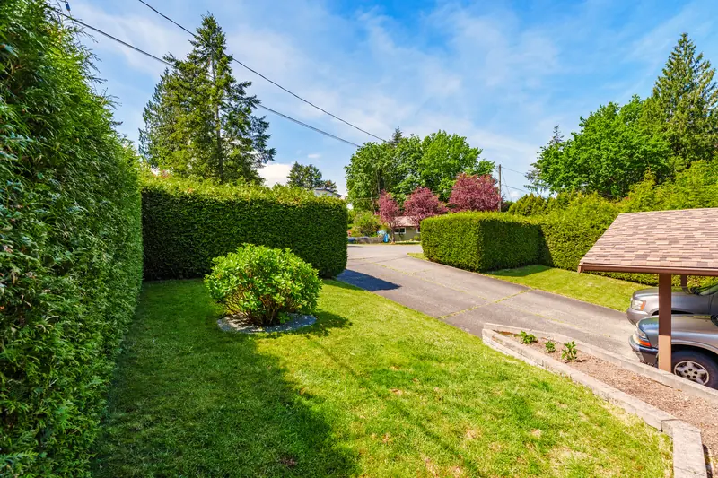 The quiet cul-de-sac in front of the house