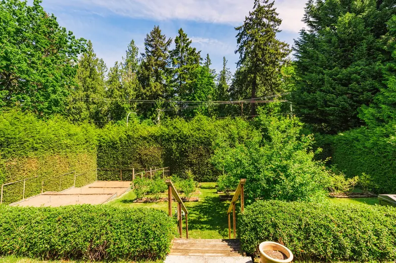 The back garden, framed by hedges, seen from the deck stairs
