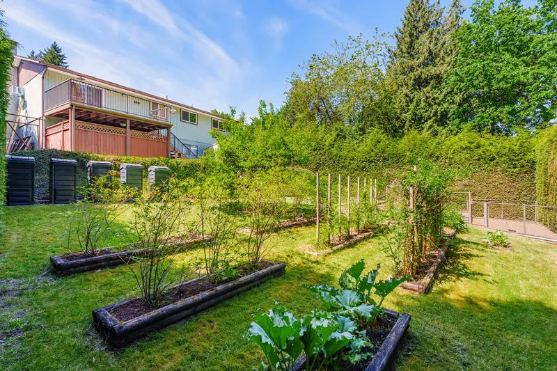 Raised garden beds with the house behind